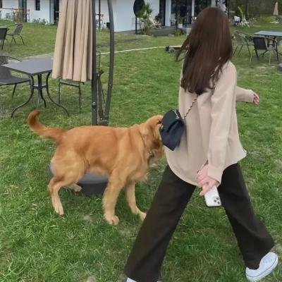 马修的日子